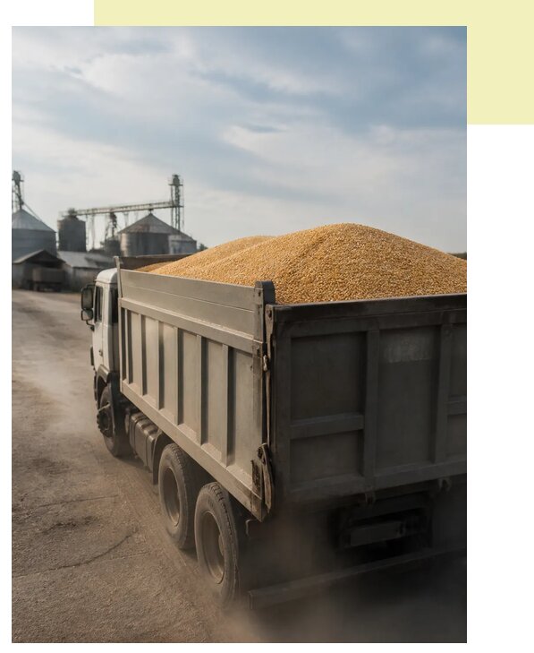 Перевозка сельхозпродукции навалом в Ноябрьск по цене от 3039 р. | Агросервис-Нбс
